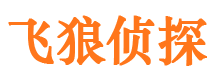 新河市侦探公司